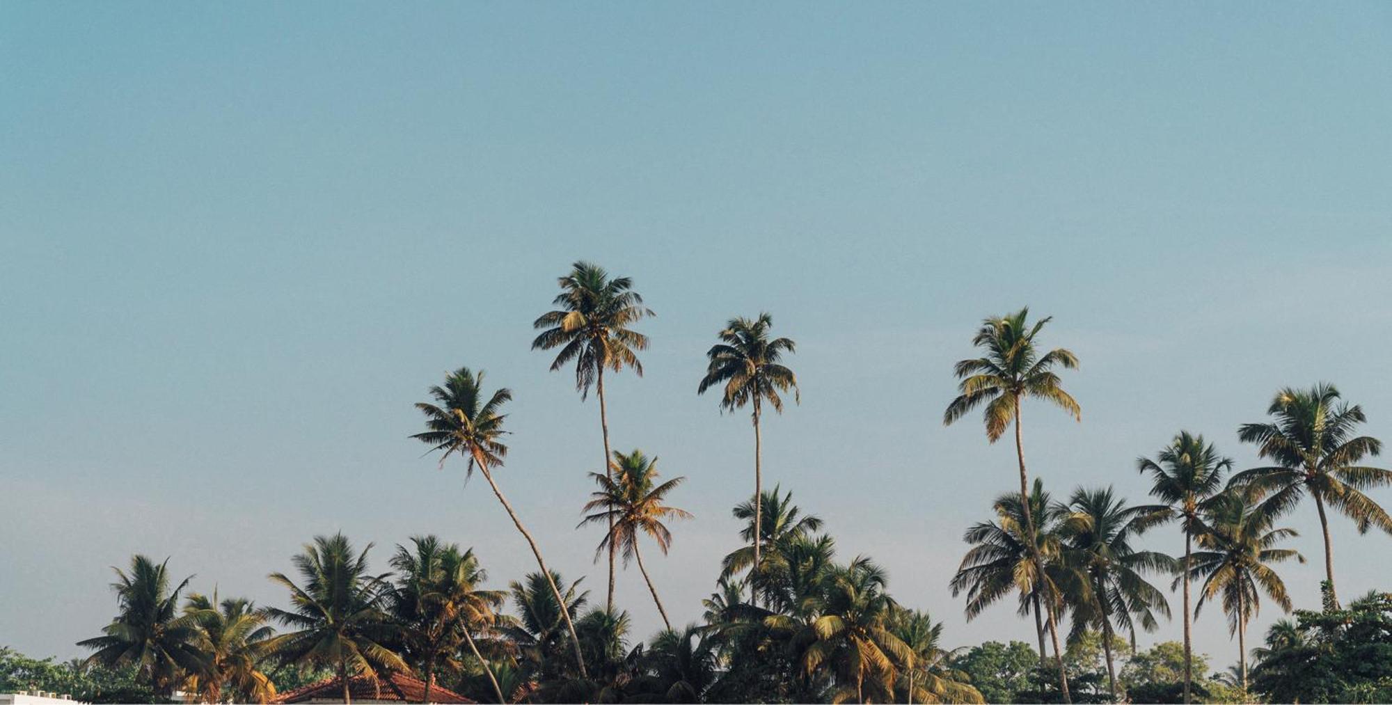 Bed and Breakfast Lucky'S Surf Camp Weligama Zewnętrze zdjęcie