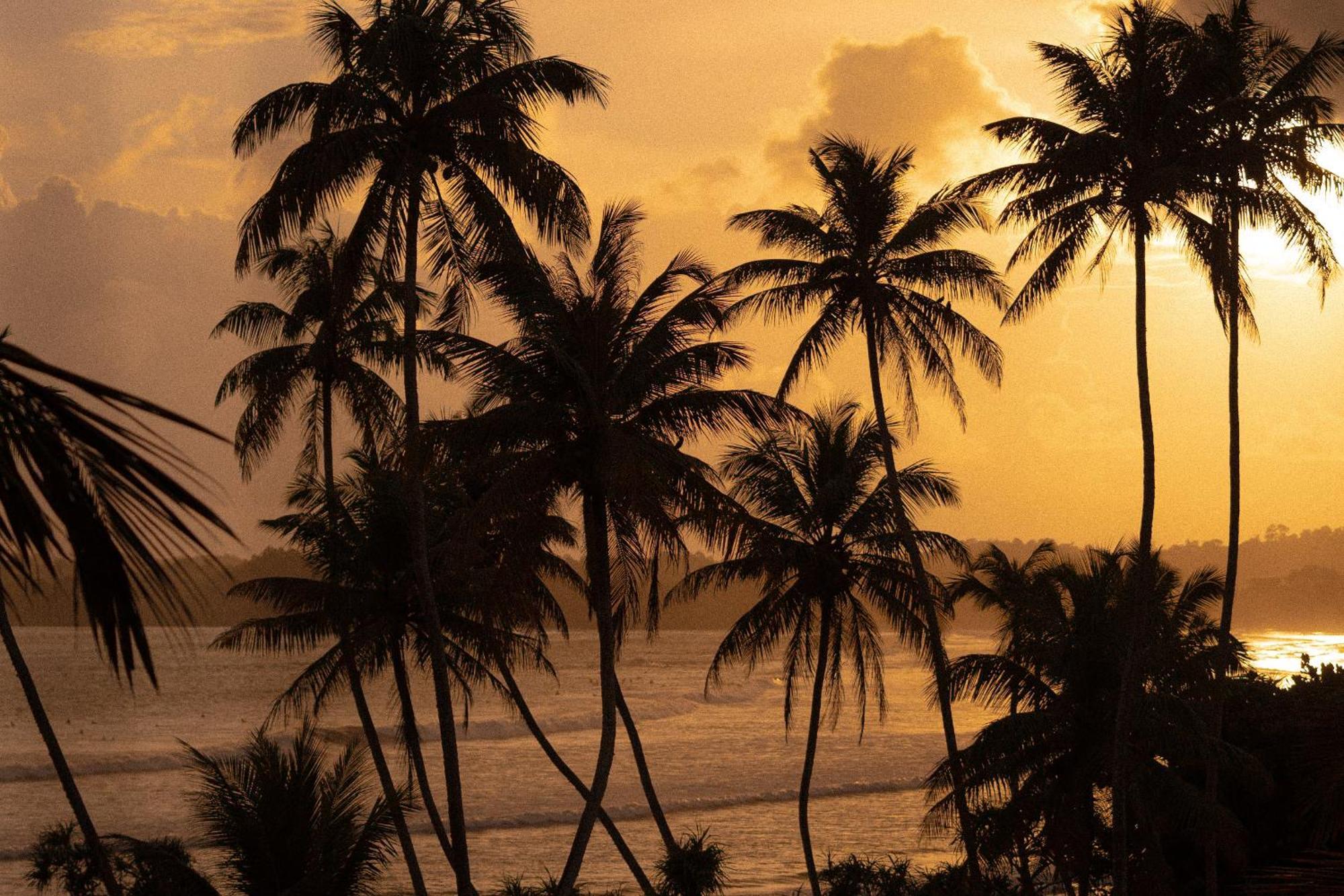 Bed and Breakfast Lucky'S Surf Camp Weligama Zewnętrze zdjęcie